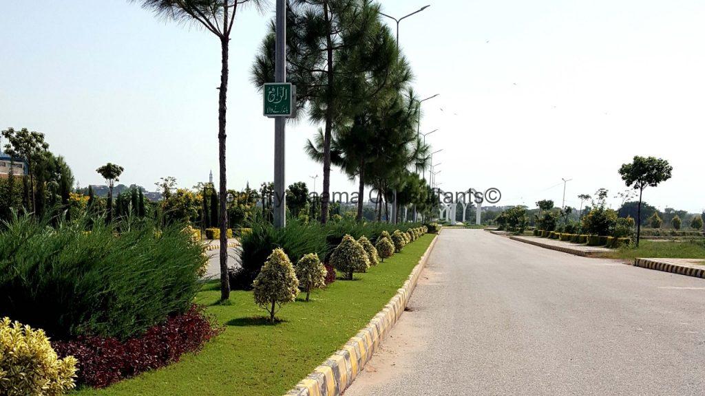 Rehman Enclave Road View