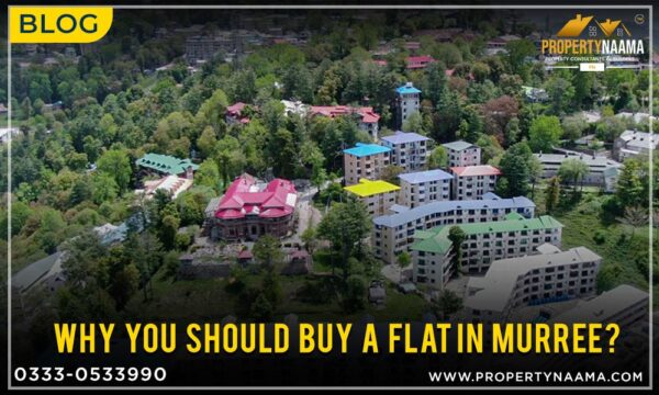 Why You Should Buy A Flat in Murree?